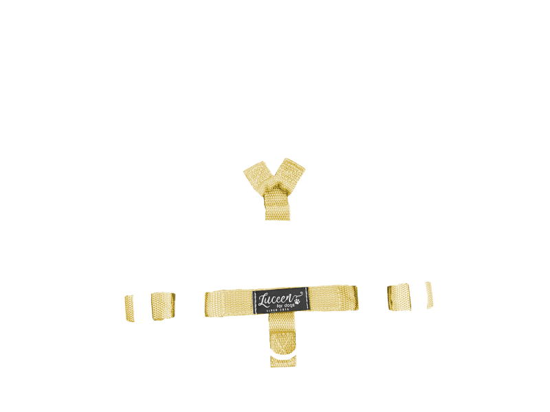 Visual Products Configurator option image