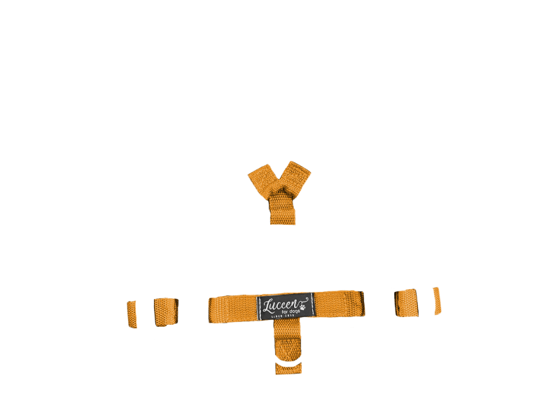 Visual Products Configurator option image