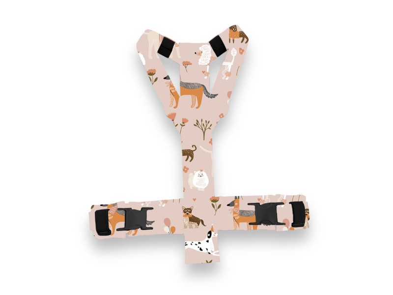 Visual Products Configurator option image