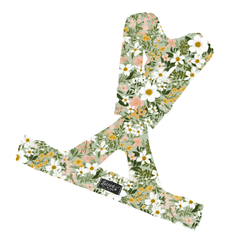 Visual Products Configurator option image