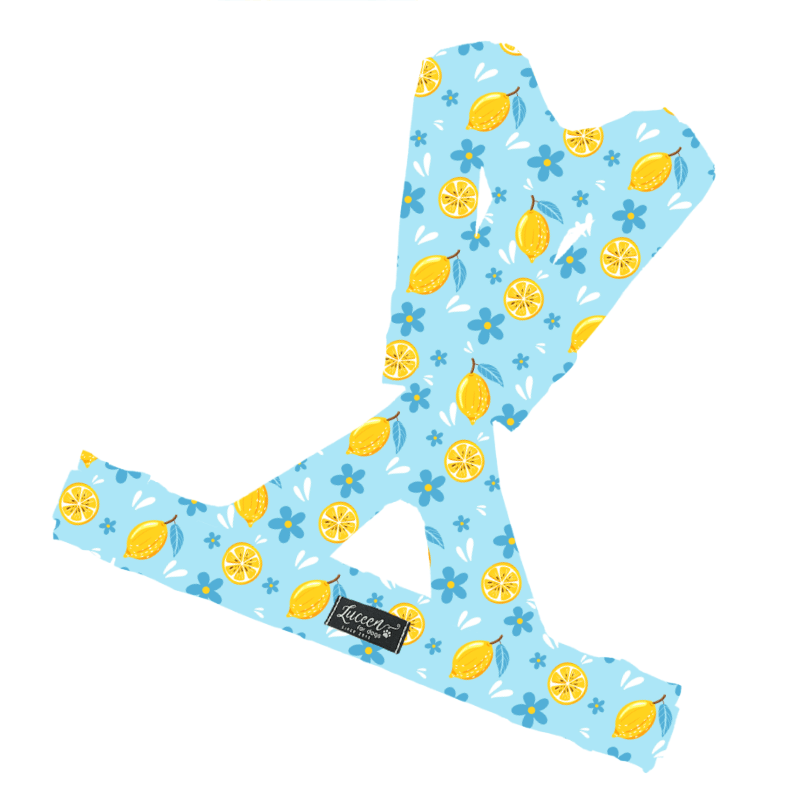 Visual Products Configurator option image