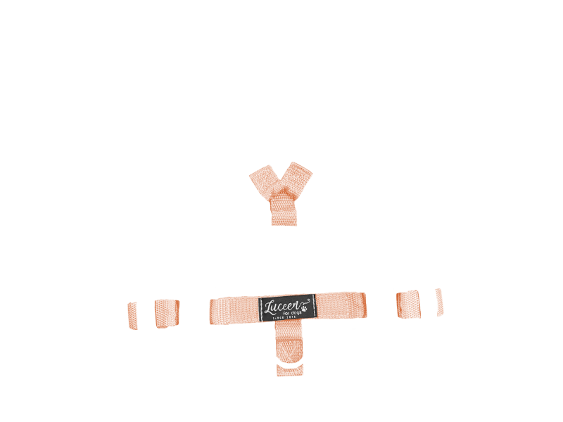 Visual Products Configurator option image