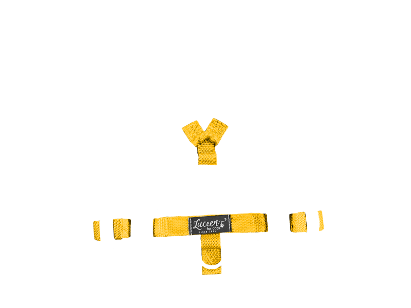 Visual Products Configurator option image